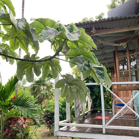 The Likkle Nature Queen Cottage Port Antonio Buitenkant foto