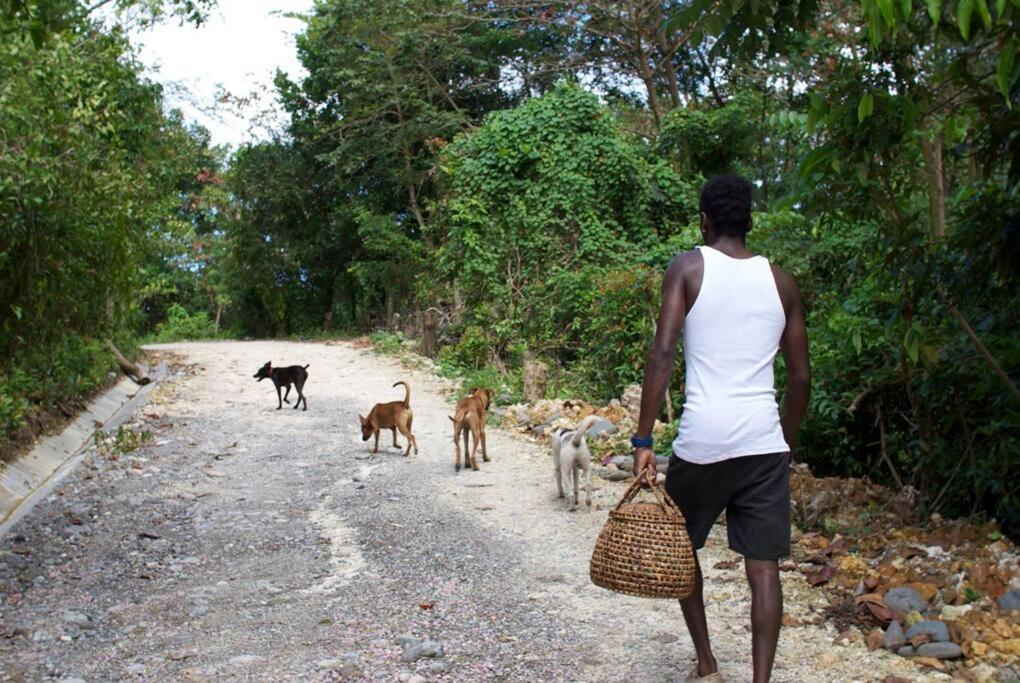 The Likkle Nature Queen Cottage Port Antonio Buitenkant foto