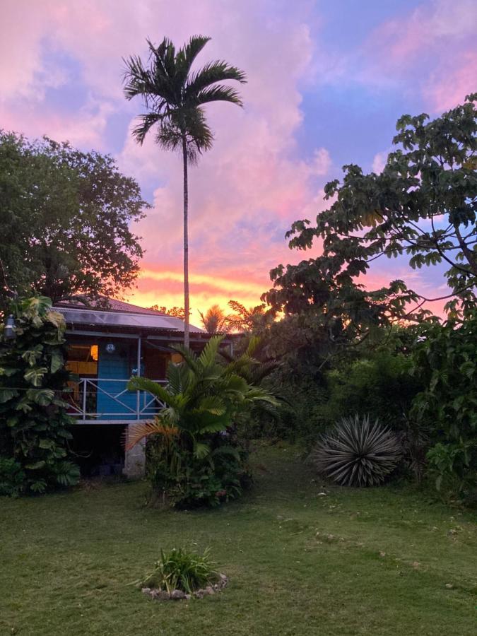 The Likkle Nature Queen Cottage Port Antonio Buitenkant foto