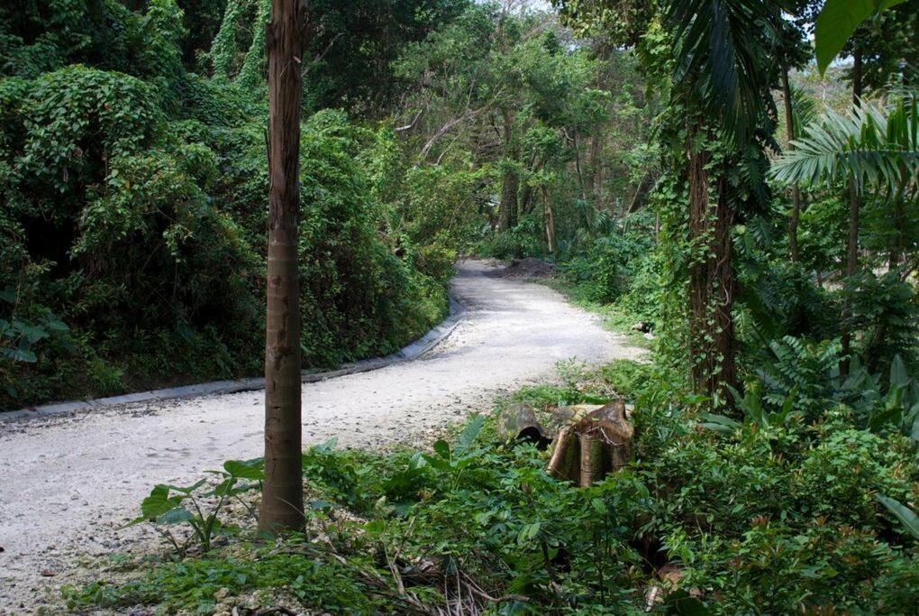 The Likkle Nature Queen Cottage Port Antonio Buitenkant foto