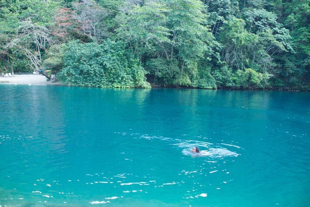 The Likkle Nature Queen Cottage Port Antonio Buitenkant foto