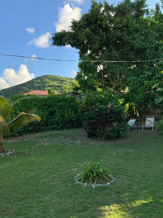 The Likkle Nature Queen Cottage Port Antonio Buitenkant foto