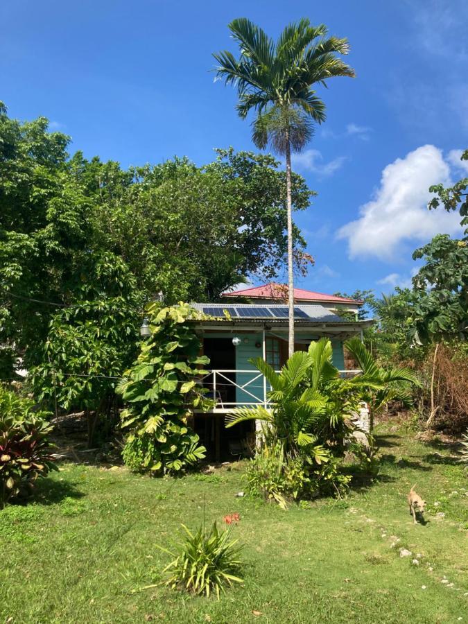 The Likkle Nature Queen Cottage Port Antonio Buitenkant foto