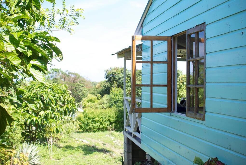 The Likkle Nature Queen Cottage Port Antonio Buitenkant foto