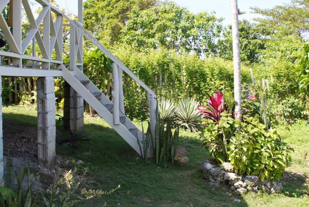 The Likkle Nature Queen Cottage Port Antonio Buitenkant foto